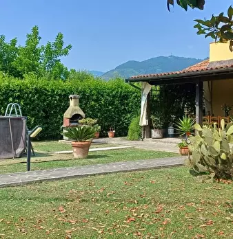 Foto annuncio 24