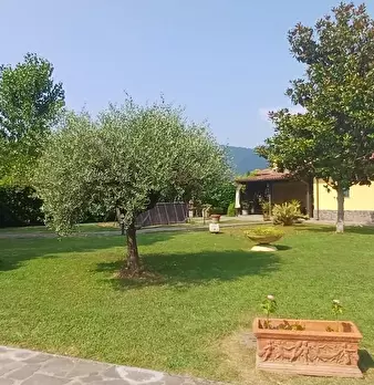Foto annuncio 38