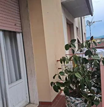Foto annuncio 6