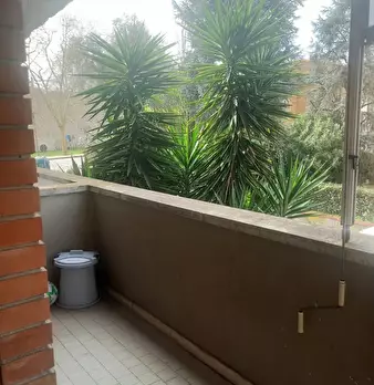 Foto annuncio 16