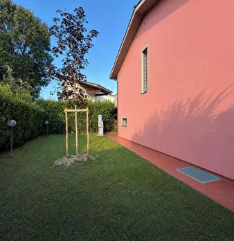 Foto annuncio 7