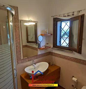 Foto annuncio 25