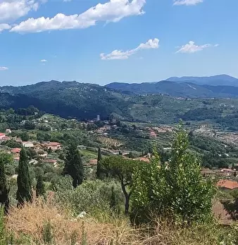 Foto annuncio 19