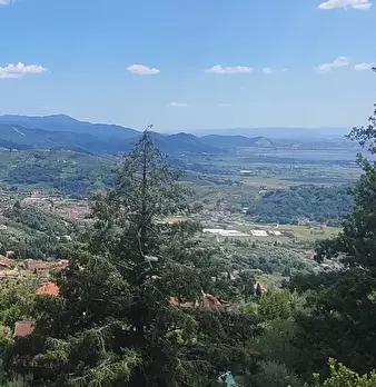 Foto annuncio 20