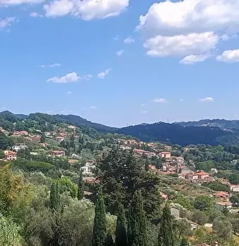 Foto annuncio 18