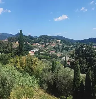 Foto annuncio 17