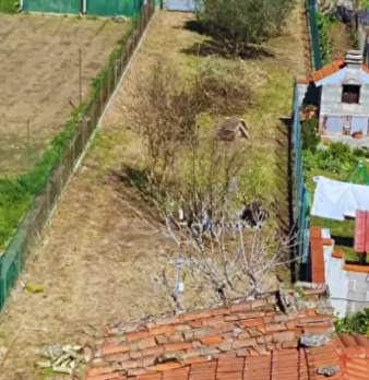 Foto annuncio 8