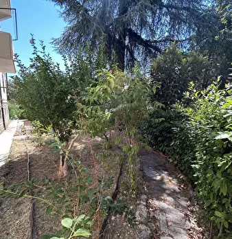 Foto annuncio 24