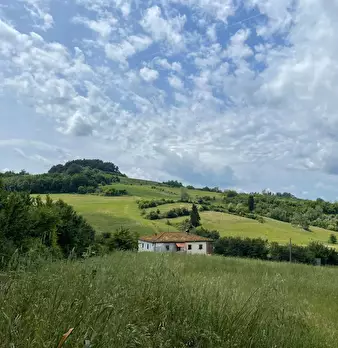 Foto annuncio 11