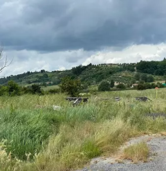 Foto annuncio 8