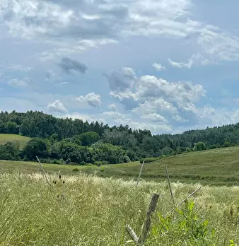 Foto annuncio 9