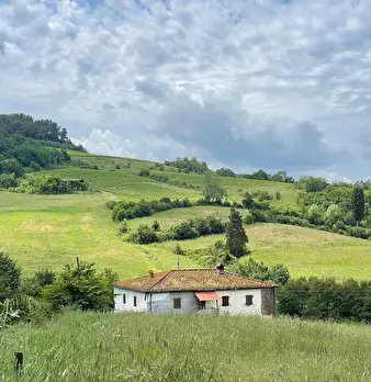 Foto annuncio 6