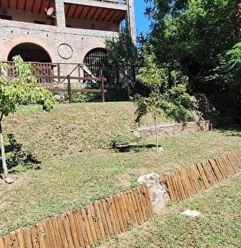 Foto annuncio 1