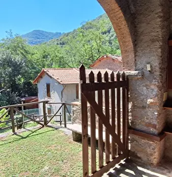 Foto annuncio 15