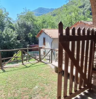 Foto annuncio 16