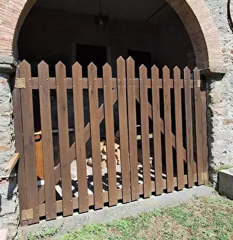 Foto annuncio 12