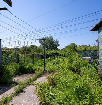 Foto annuncio 35