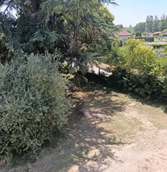 Foto annuncio 11