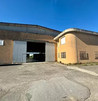 Foto annuncio 12