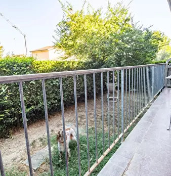 Foto annuncio 7