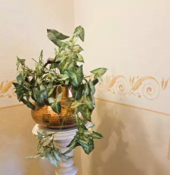 Foto annuncio 26