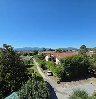 Foto annuncio 42