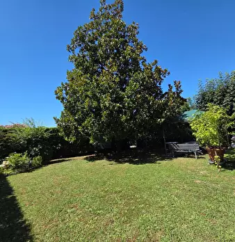 Foto annuncio 64