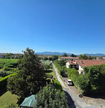 Foto annuncio 43