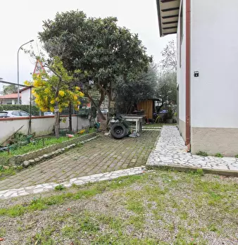 Foto annuncio 44