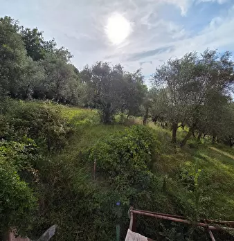 Foto annuncio 19