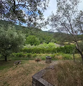 Foto annuncio 44