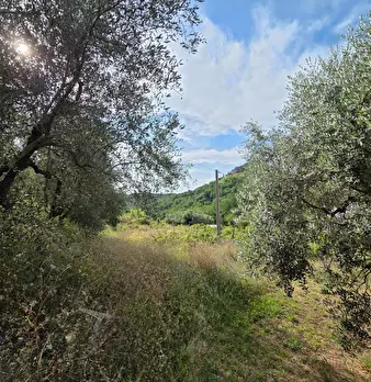 Foto annuncio 11