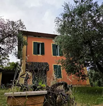 Foto annuncio 52