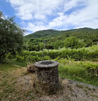 Foto annuncio 48
