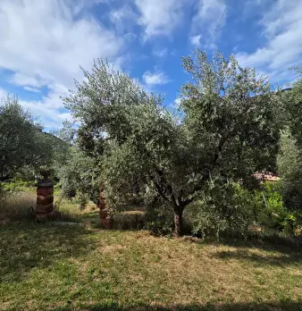 Foto annuncio 5