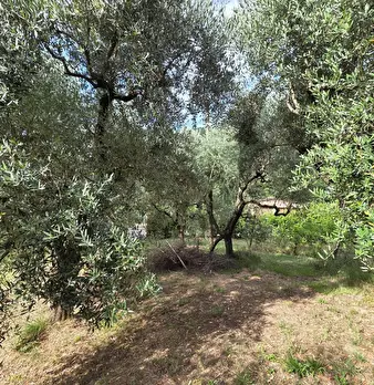 Foto annuncio 12