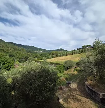 Foto annuncio 32