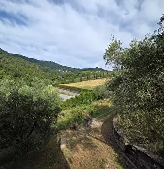 Foto annuncio 35