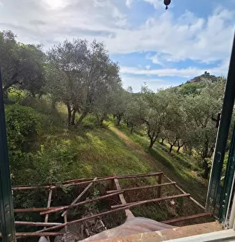 Foto annuncio 21