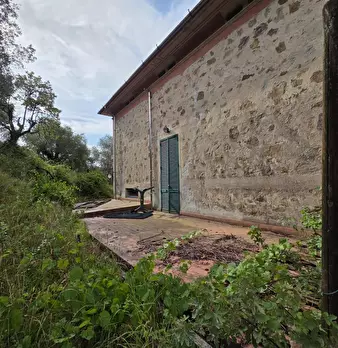Foto annuncio 42