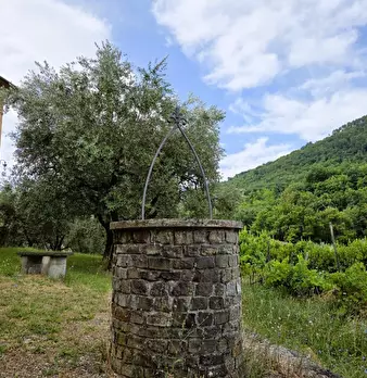 Foto annuncio 53