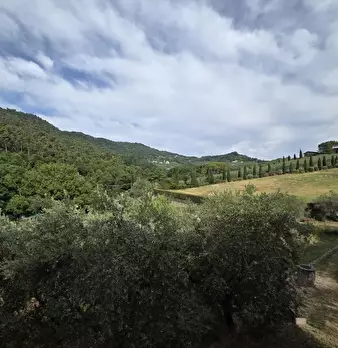 Foto annuncio 30