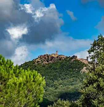 Foto annuncio 10