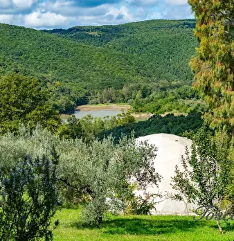 Foto annuncio 73