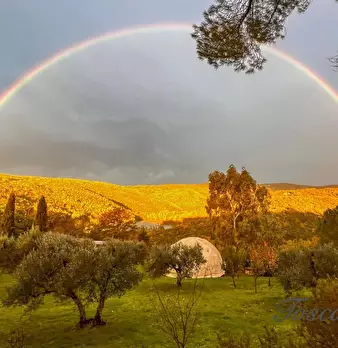 Foto annuncio 77