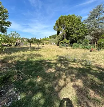 Foto annuncio 4