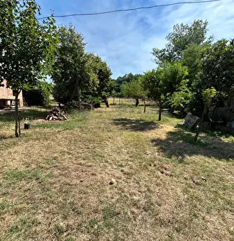 Foto annuncio 6