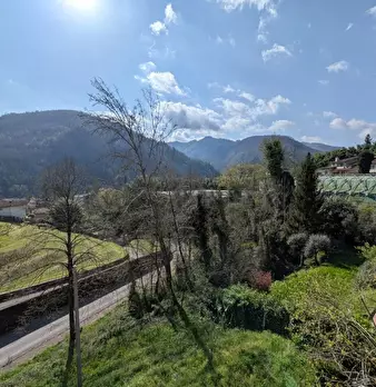 Foto annuncio 31