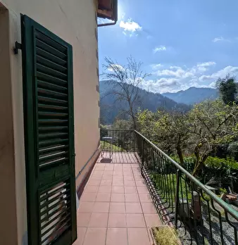 Foto annuncio 24
