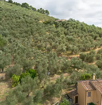 Foto annuncio 5